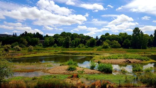 Scenic view of lake against sky