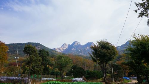 Scenic view of mountains against cloudy sky