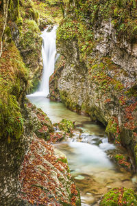 Scenic view of waterfall in forest