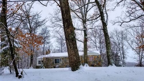 Bare trees by house against sky during winter