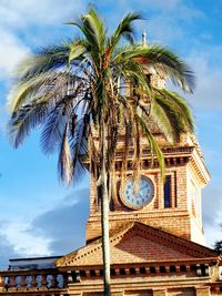 Low angle view of palm trees against cloudy sky