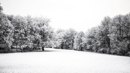 Trees on snow covered landscape against clear sky