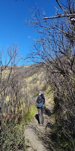 Rear view of man walking on footpath against sky