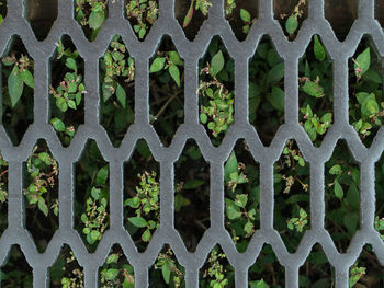 Full frame shot of metal fence