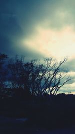 Low angle view of bare trees against cloudy sky