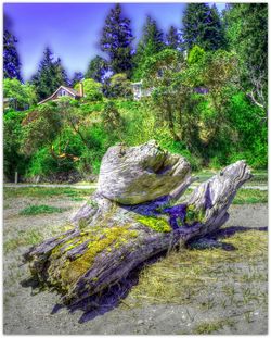 View of trees against sky