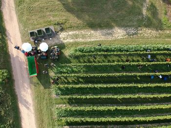 High angle view of people working on field