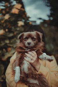 Young woman holding dog while standing outdoors