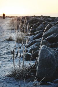 Close-up of rocks by sea against sky during sunset