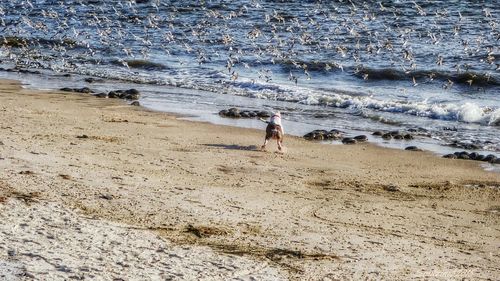 View of people on beach