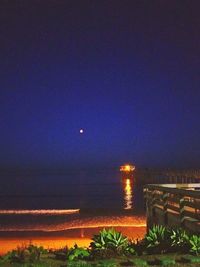 Illuminated plants by sea against sky at night