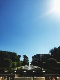 Panoramic shot of trees against clear blue sky