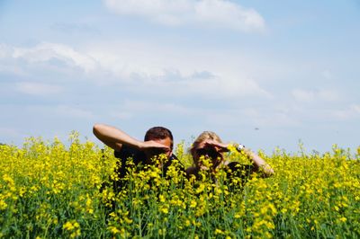 Yellow flowering plants on field against sky