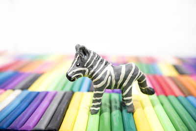 Close-up of multi colored pencils against white background