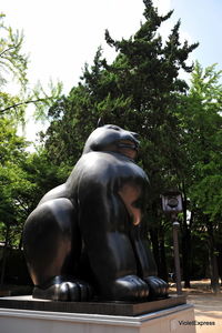 Low angle view of statue in park