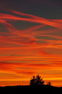 Scenic view of silhouette trees against sky during sunset
