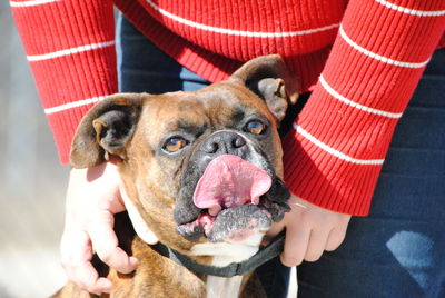 Hands holding collar of dog