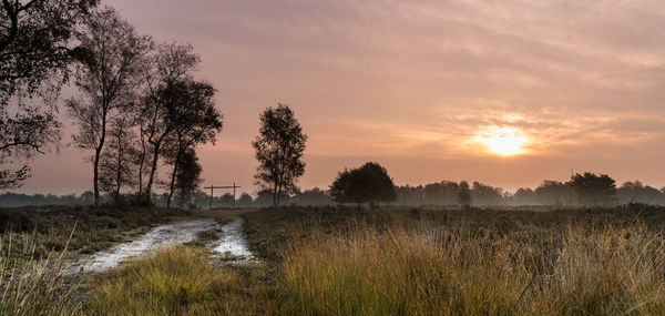 Scenic view of field against sky during sunset