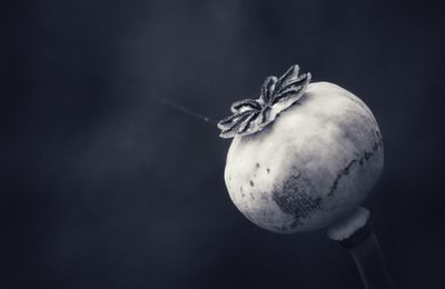 Close-up of banana against black background