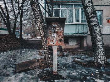 Abandoned building by trees during winter