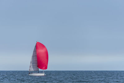 Sailboat sailing in sea against sky