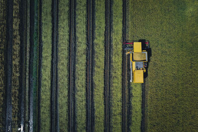 Aerial view of agricultural field