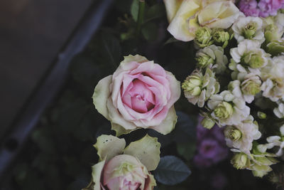 Close-up of rose bouquet
