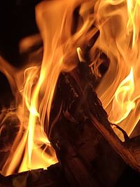 Close-up of bonfire