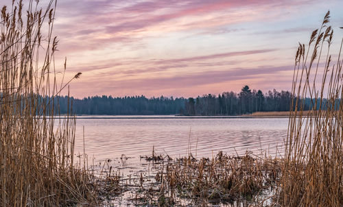 Scenic view of lake against sky during sunset