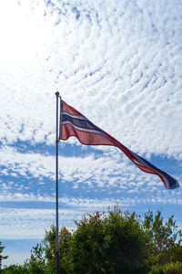 Low angle view of flag flying over trees against sky