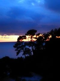 Silhouette trees by sea against sky during sunset