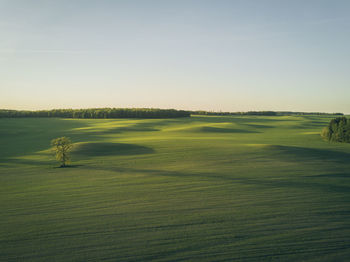 Scenic view of golf course against sky