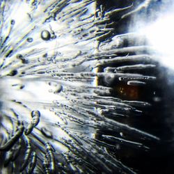 Full frame shot of water in glass