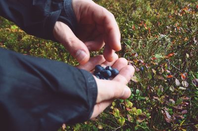 Cropped image of person holding ice cream on field