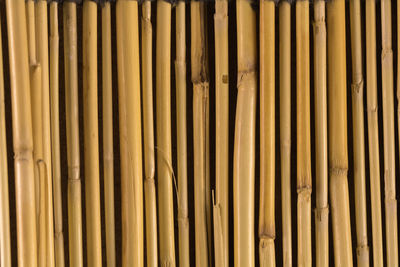 Full frame shot of bamboo