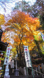 Low angle view of trees by building during autumn