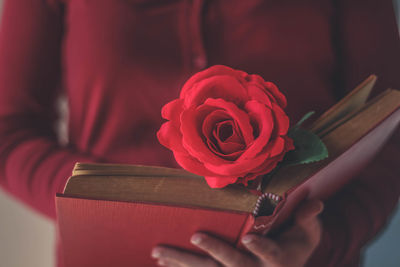 Close-up of a red rose on a book