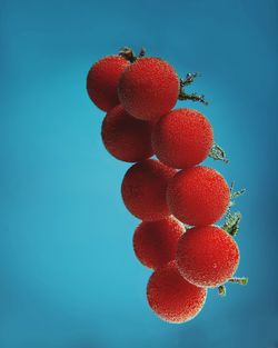 Low angle view of red berries against blue sky