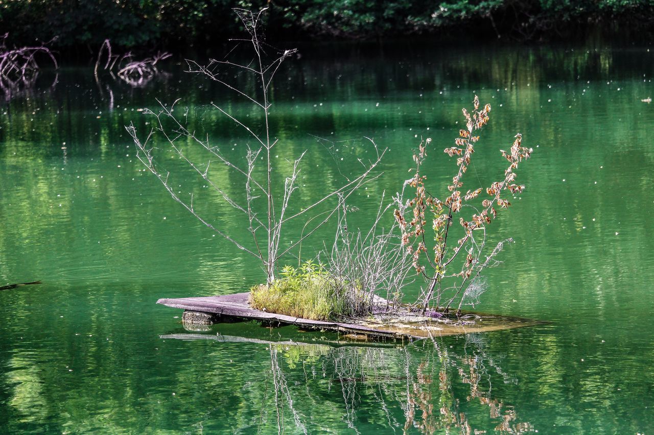 VIEW OF A LAKE