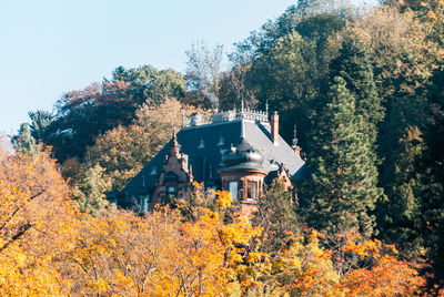 House amidst trees and plants in forest against sky