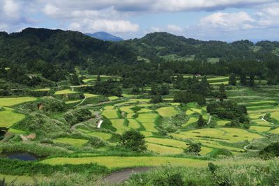 Scenic view of agricultural field against sky