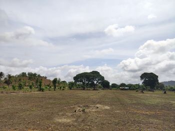 Scenic view of field against sky