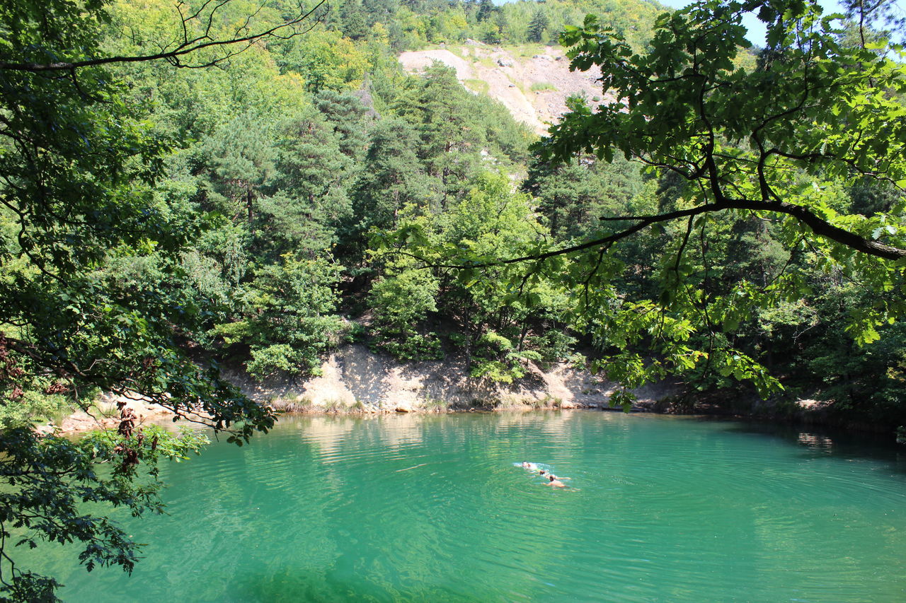 SCENIC VIEW OF LAKE