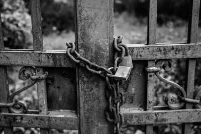 Close-up of metal fence
