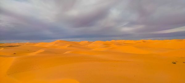Scenic view of desert against sky