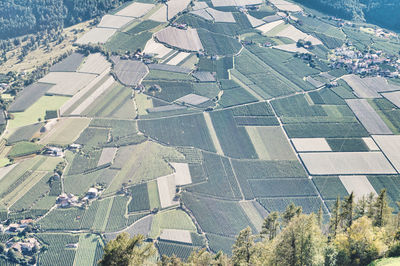 High angle view of agricultural field