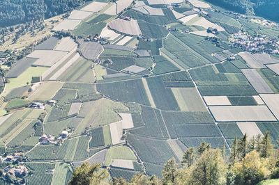 High angle view of agricultural field