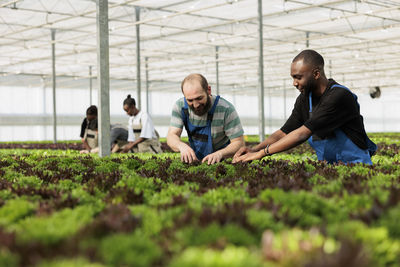 Side view of young man gardening in greenhouse