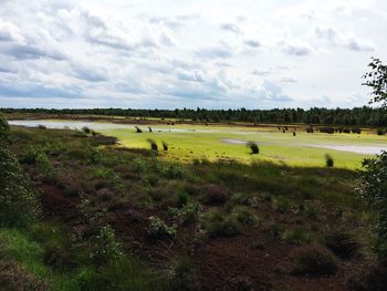 Scenic view of field against sky