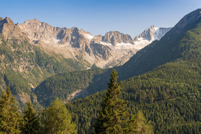 Panoramic view of pine trees and mountains against sky